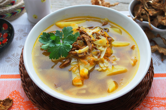 суп с сушеными грибами, картошкой и вермишелью рецепт фото 13